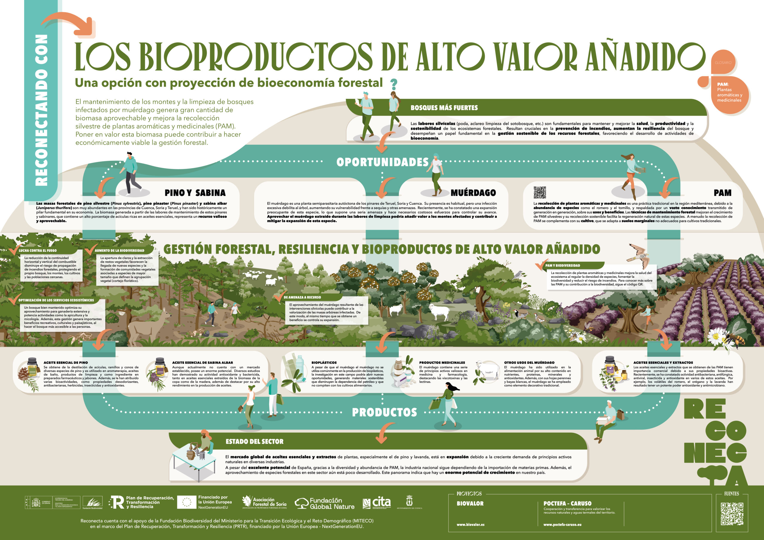 Los Bioproductos de Alto Valor