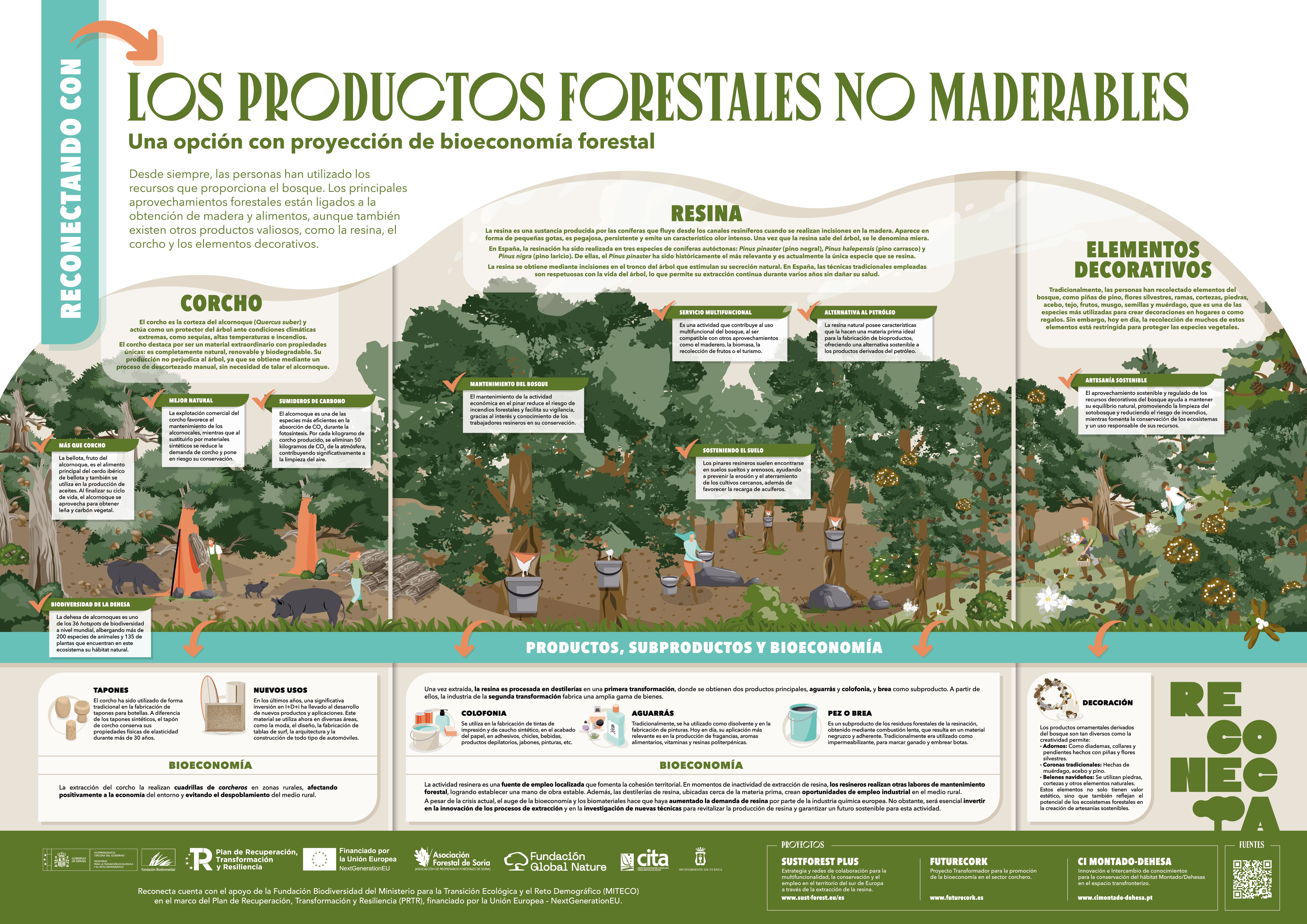 Productos no maderables A