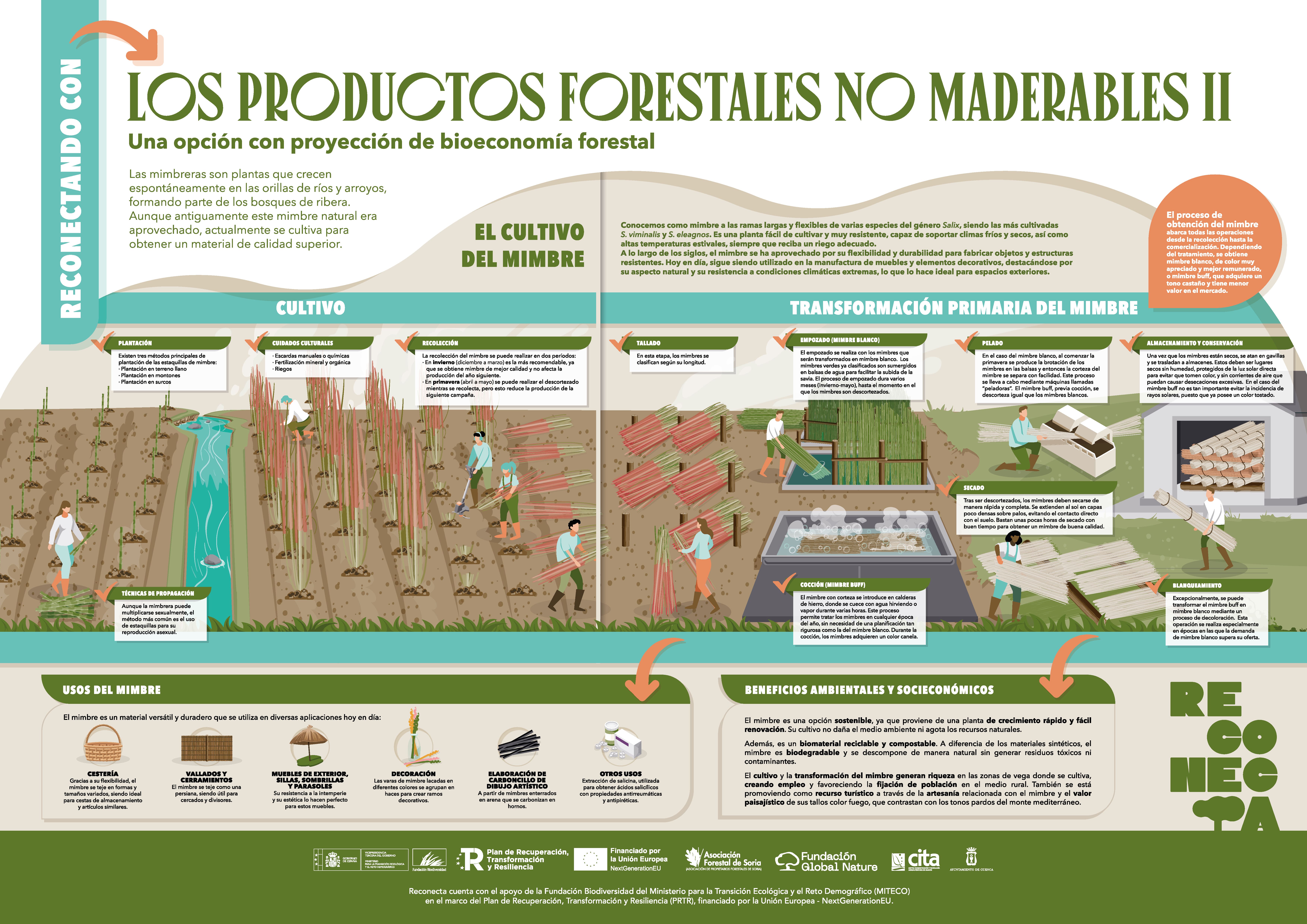 Productos no maderables B