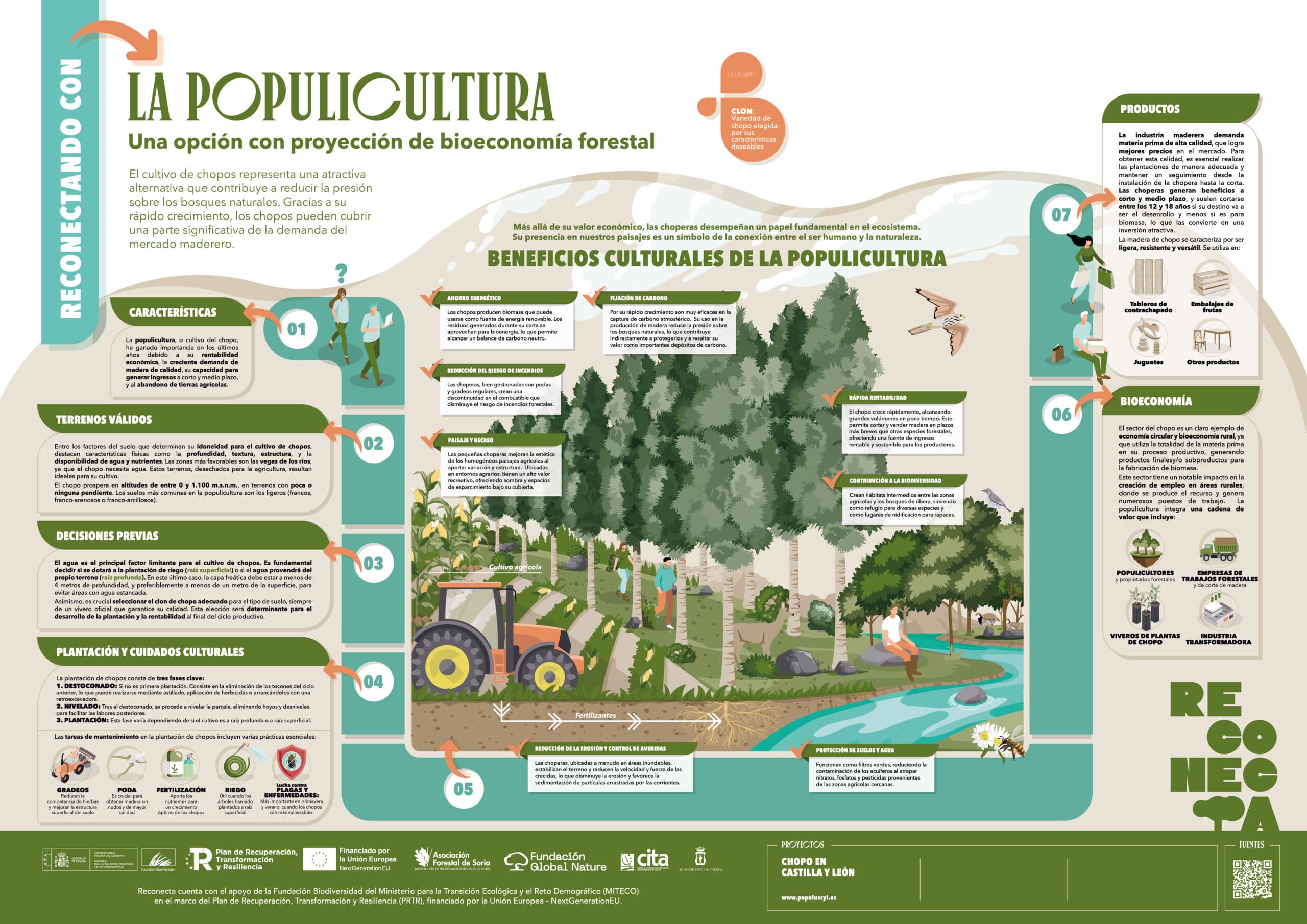 Populicultura