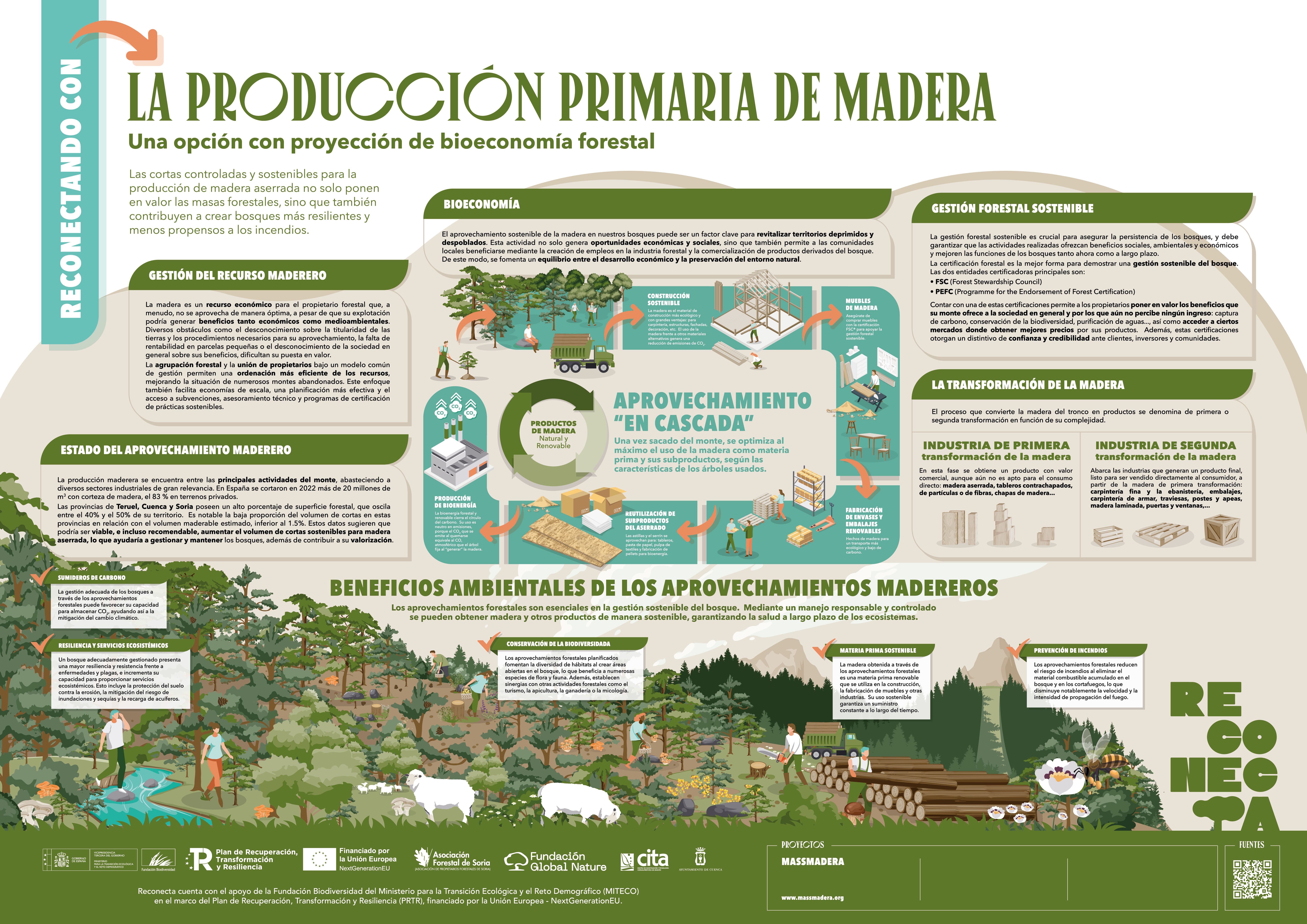 Produccion Madera