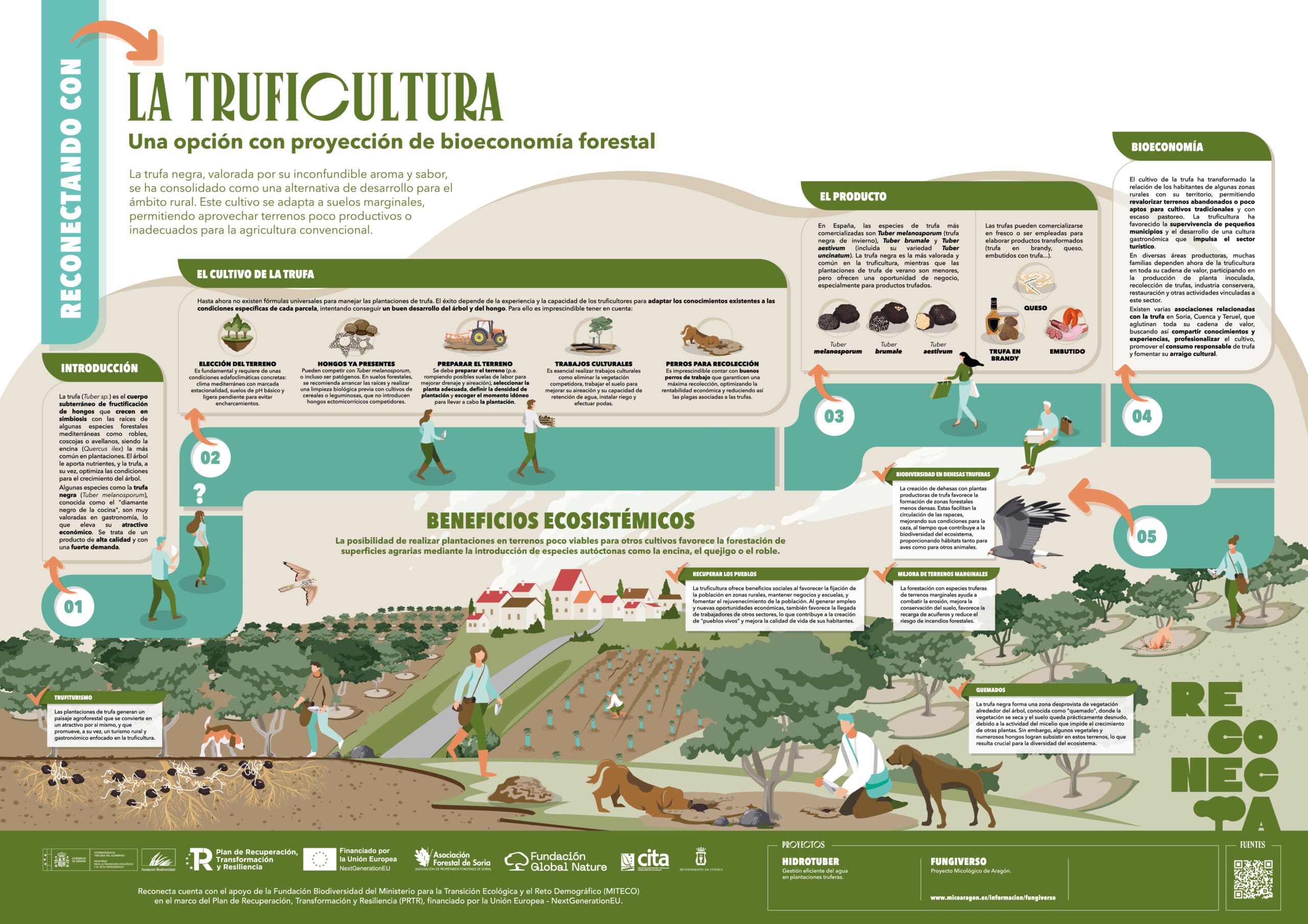 Truficultura