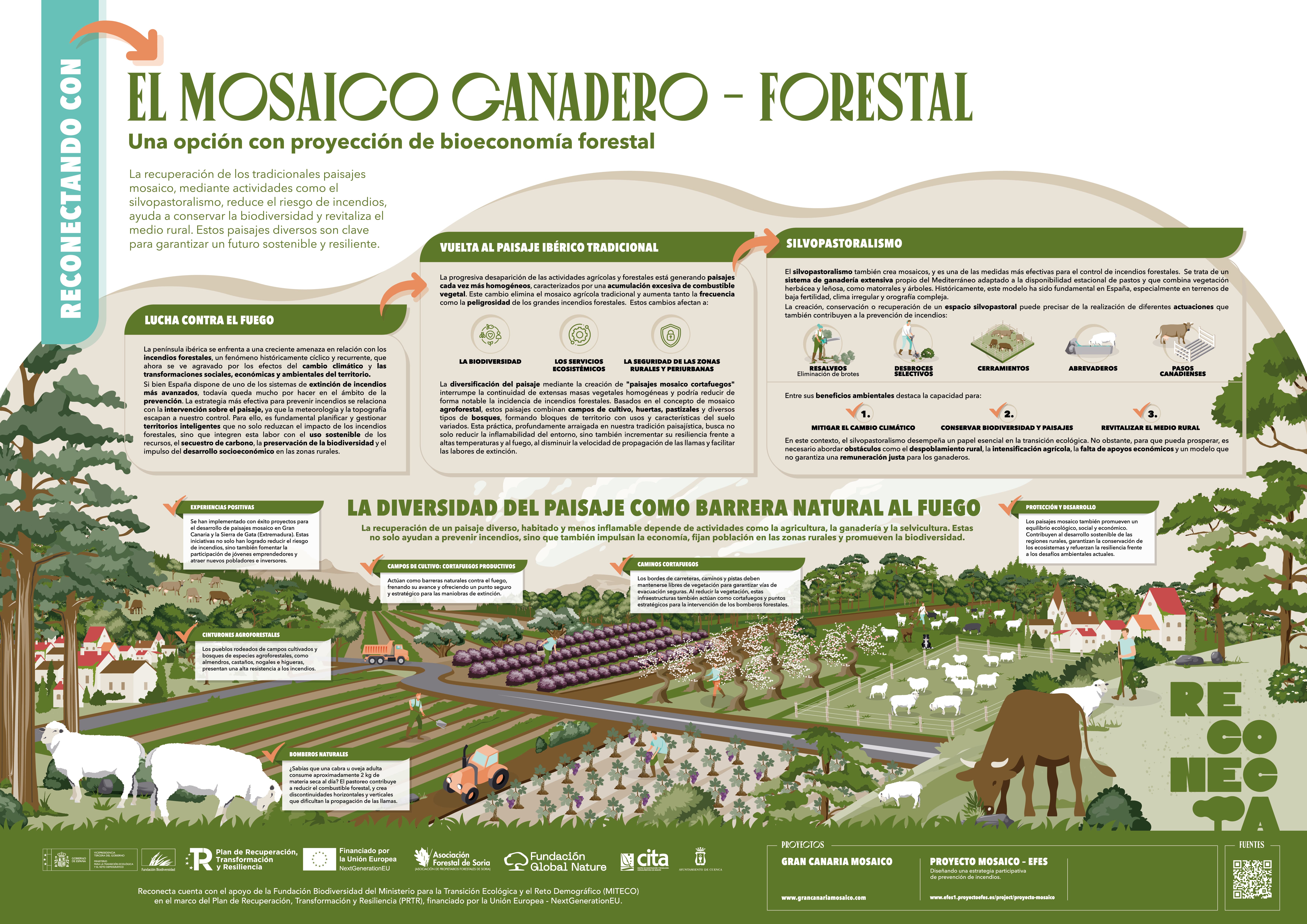 Mosaico Ganadero