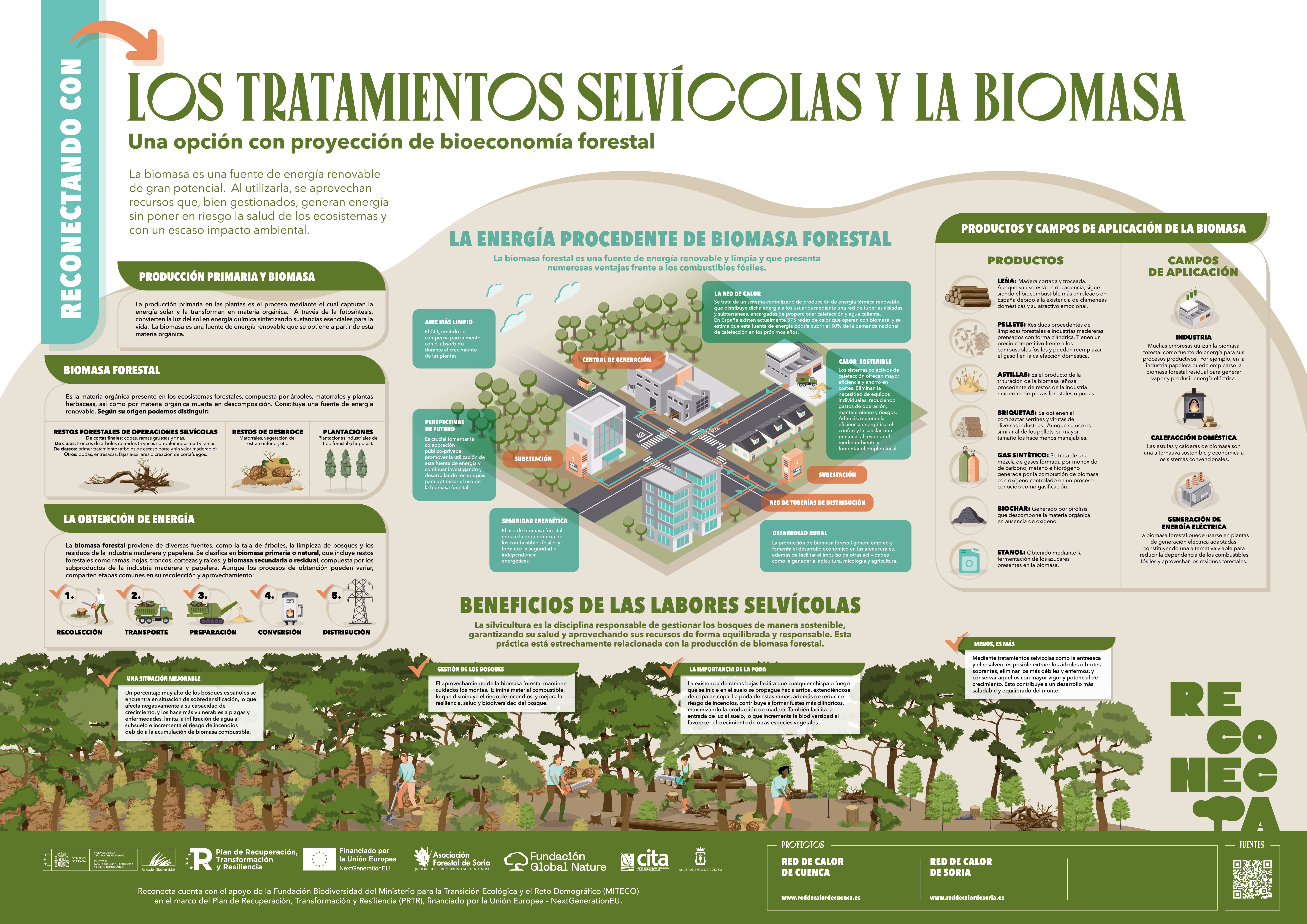 Biomasa