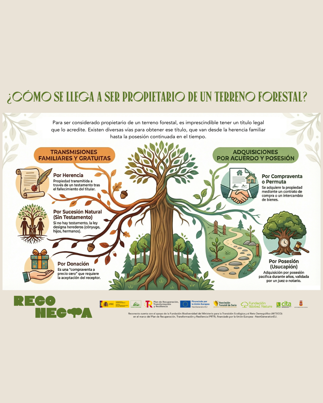 ¿Cómo llegar a ser propietario de una finca forestal?