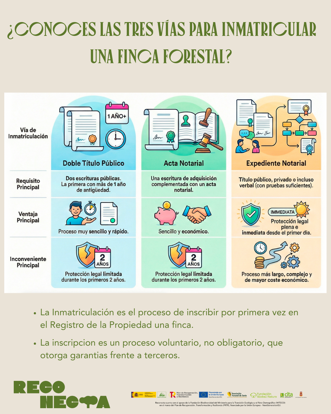 ¿Conoces las tres vías para inmatricular una finca forestal?
