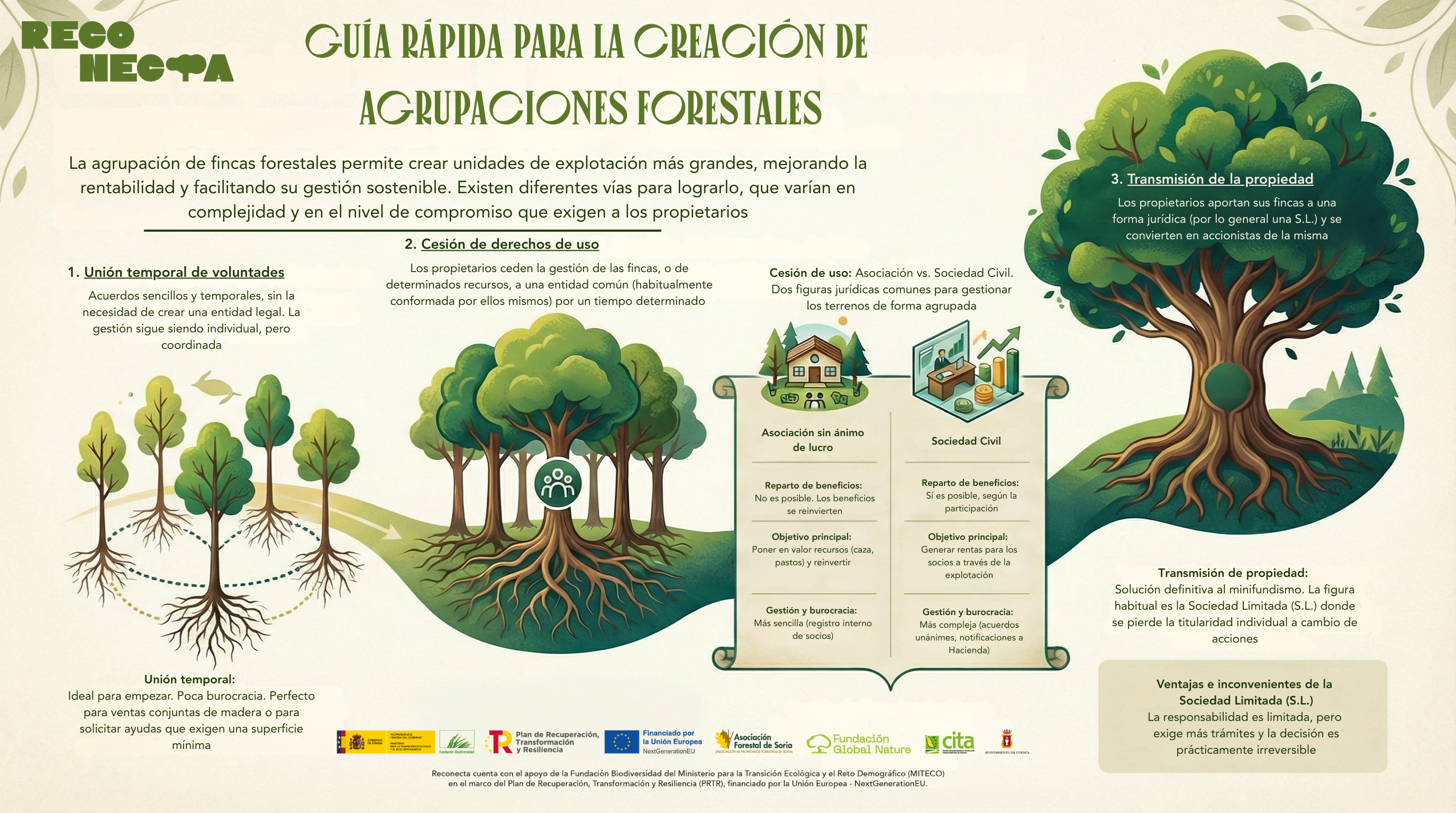 Guía rápida para la creación de  Agrupaciones Forestales